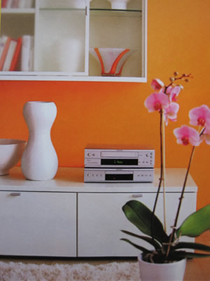 Decorando con naranja