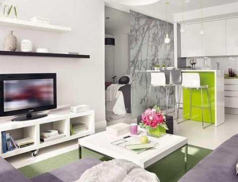 Una sala de estar estila dise%C3%B1o interior 1 480x367 Mejorar el espacio Accesorios interiores para apartamentos pequeños