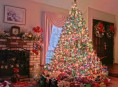 imagen Decorando el árbol de navidad