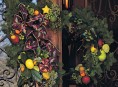imagen Con flores y plantas haz maravillas para las fiestas