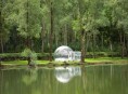 imagen Casas: conoce a Bubble Tree