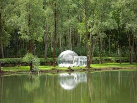 Casas conoce a Bubble Tree4