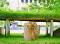 imagen La naturaleza invadió las oficinas