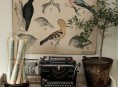 imagen Detalles bonitos para la decoración del hogar