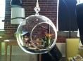 imagen Decora tu hogar con terrarios