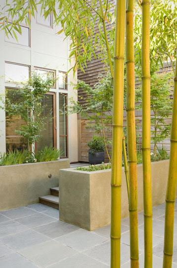 Bambu Decoracion Jardin ~ Bamb? Usos En El Jardin La Decoraci?n Y La Arquitectura Pictures to Bambu Decoracion Jardin ~ Bamb? Usos En El Jardin La Decoraci?n Y La Arquitectura Pictures to