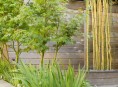 imagen Decoración de exteriores: Un jardín de ciudad