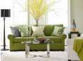 imagen El color verde para la sala