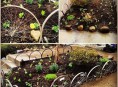 imagen Ideas para decorar tu jardín con ruedas de bicicletas