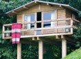imagen Una mini-casa rústica junto al bosque