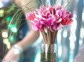 imagen Decorar la mesa de Navidad con cyclamen