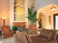 imagen Decoración de salones con plantas de interior