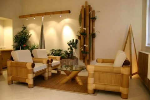 Bambú en el interior 1