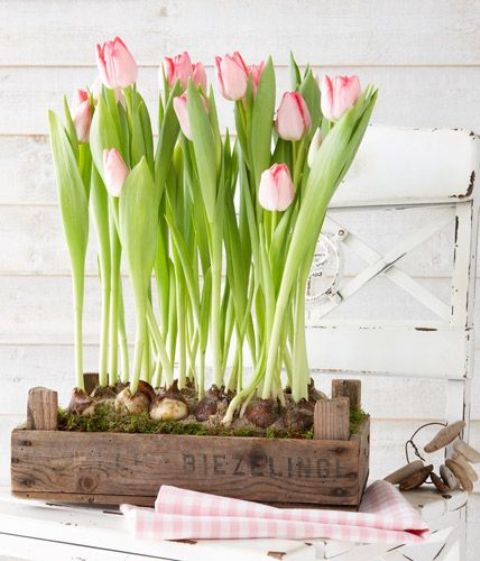 Decorar con tulipanes 12