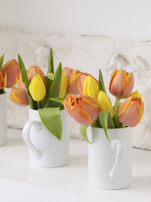 Decorar con tulipanes 2
