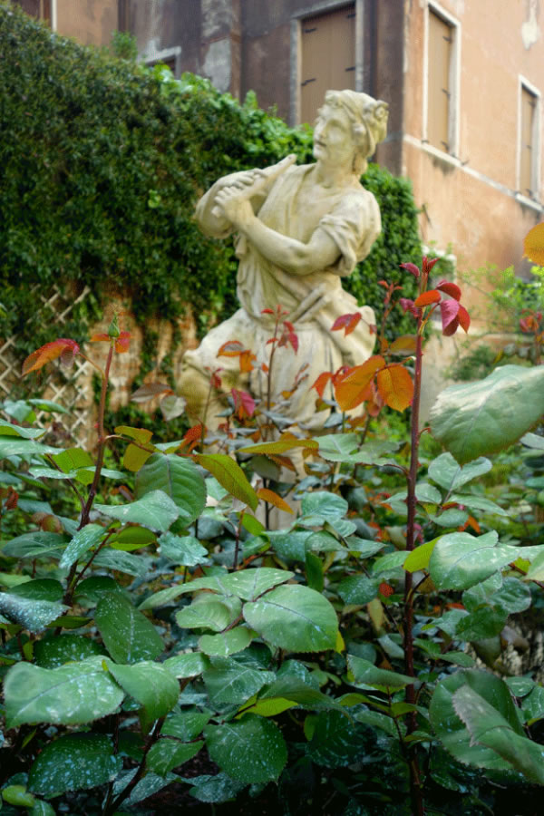 Deco jardín en Venecia 6