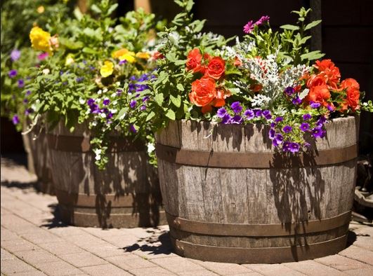 Macetas con barriles de vino para tu jardÃn Macetas Jardín decoración