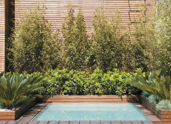 Una terraza con piscina para disfrutar