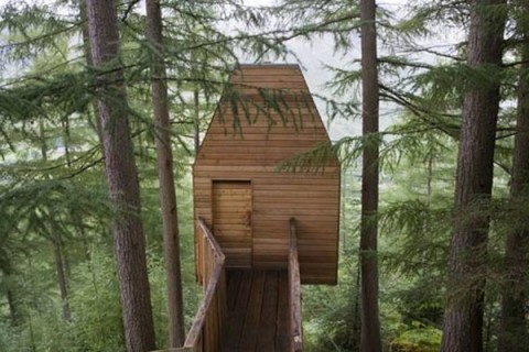 Casas la casa del árbol3