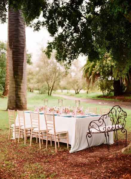 Decoracion_ Rosa y azul para una comida en el jardín-06