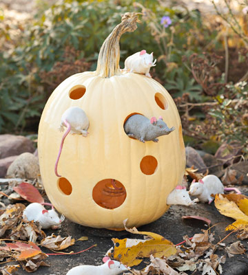 Halloween: decora con calabazas talladas y disfrazadas Halloween: decora con calabazas talladas y disfrazadas