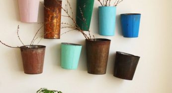 Cinco consejos para decorar con plantas
