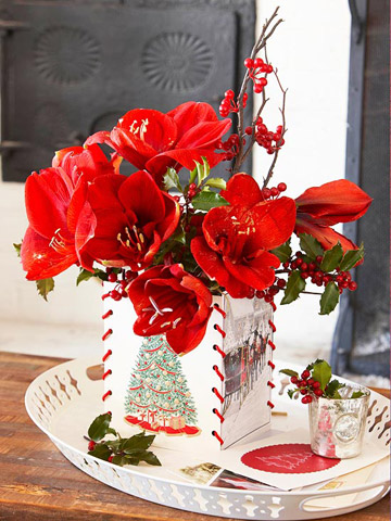 Esta Navidad decora tu casa con amaryllis 2