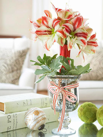 Esta Navidad decora tu casa con amaryllis 4