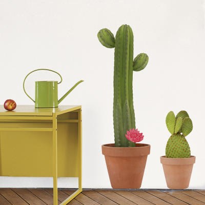 Decorar con cactus 6