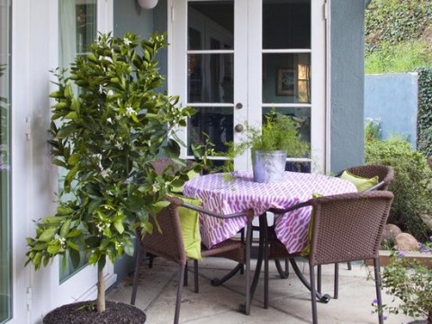 Comedores al aire libre