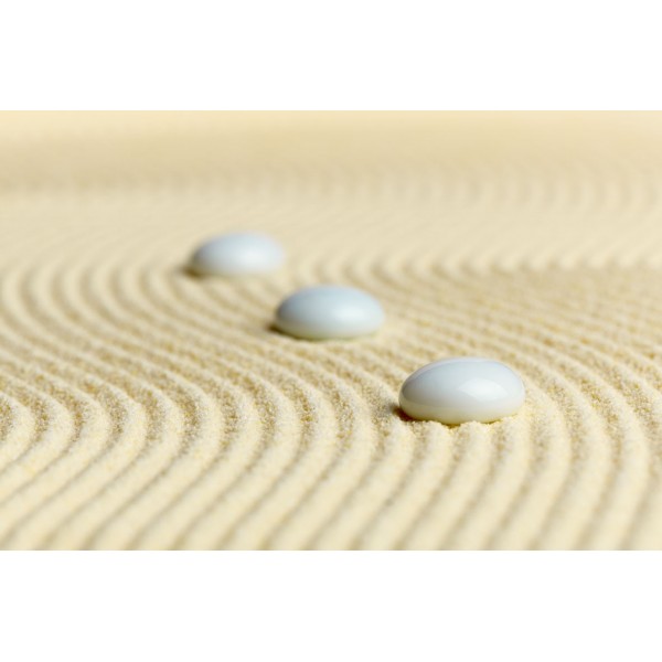 un-jardin-zen-en-miniatura-04 | Guía para Decorar