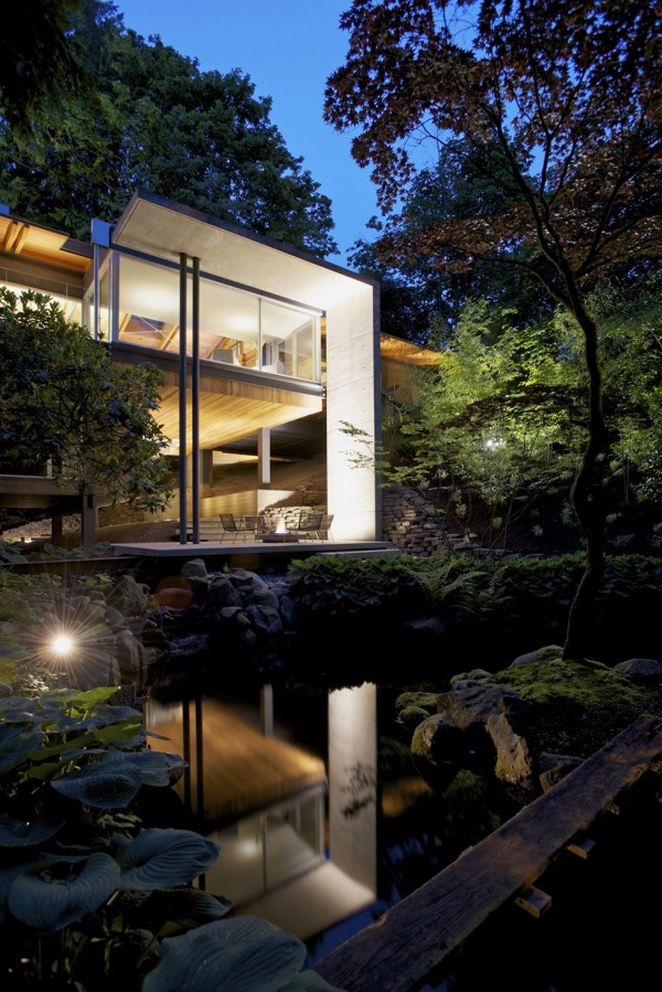 Una casa sumida en la vegetación 6