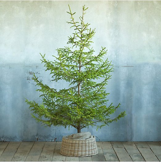 Base árbol navideño 3