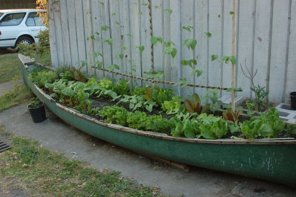 Una canoa para decorar 10