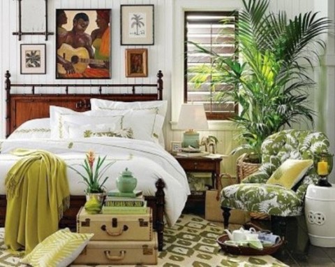 Decoración de estilo tropical 5