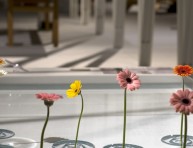 imagen Soporte flotante para flores de Oodesign