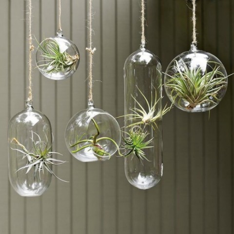 ingeniosas-decoraciones-interior-con-plantas-05