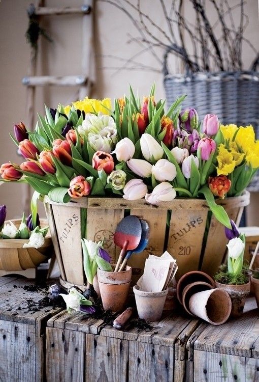 Decorar con tulipanes 21