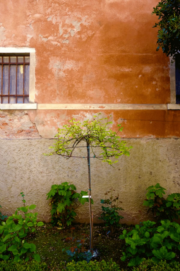 Deco jardín en Venecia 8