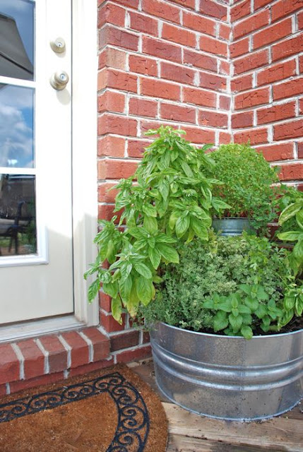 ideas-diy-sencillas-para-crear-tu-jardin-de-hierbas-10