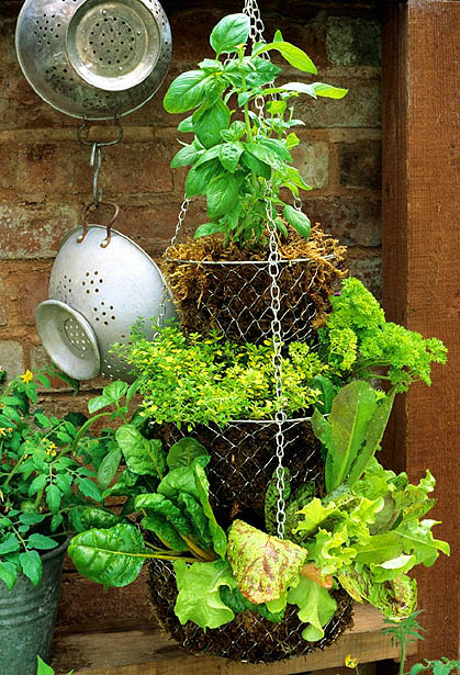 ideas-diy-sencillas-para-crear-tu-jardin-de-hierbas-14