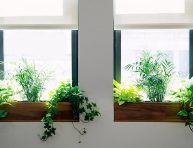 imagen 7 ideas para aprovechar mejor las ventanas