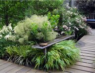 imagen Cómo decorar el patio o la terraza con plantas