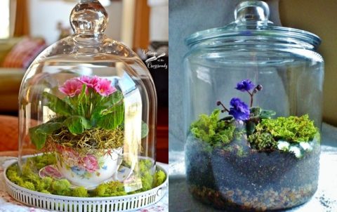 17 terrarios para darle un toque fresco y decorativo al hogar