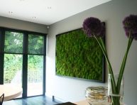 imagen 8 hermosas e increíbles ideas de paredes de musgo