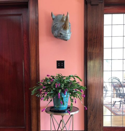 13 ideas de habitaciones en color coral que amarás