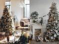 imagen Los mejores lugares para poner el árbol de Navidad en casa